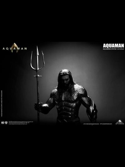 DC系列 海王 全身像