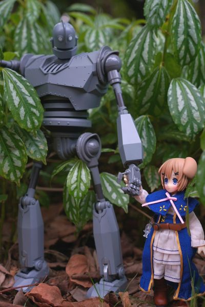 耳朵花园博物志 华芙