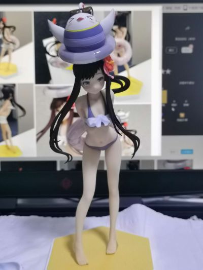 Beach Queens Premium 魔法少女大战 小张凛 泳装ver.