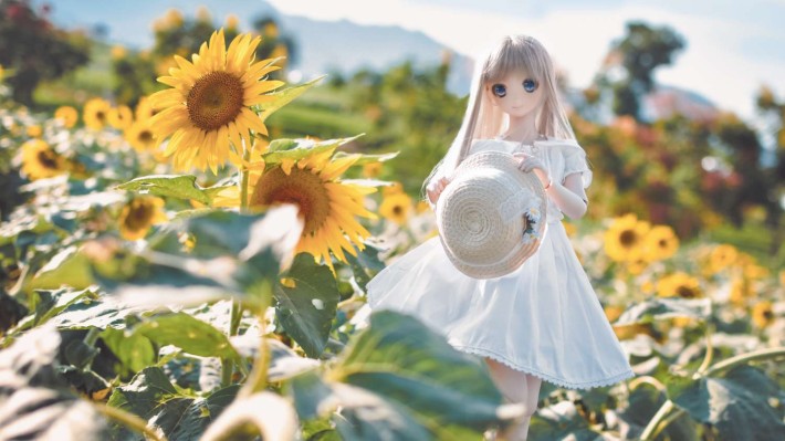 Dollfie Dream Dynamite DDdy 美子