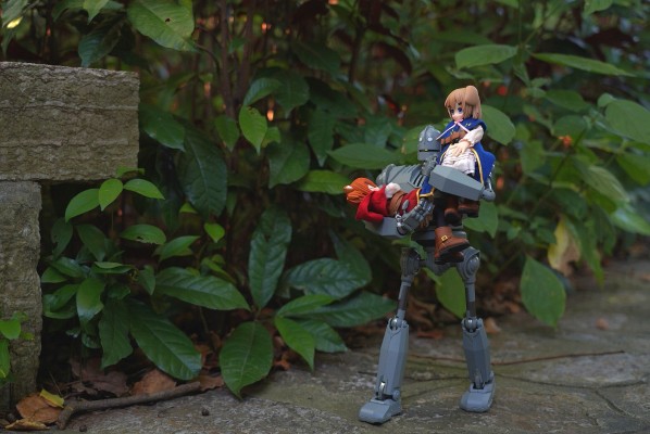 耳朵花园博物志 华芙