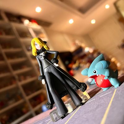 宝可梦比例世界 神奥地区 竹兰 与 烈咬陆鲨