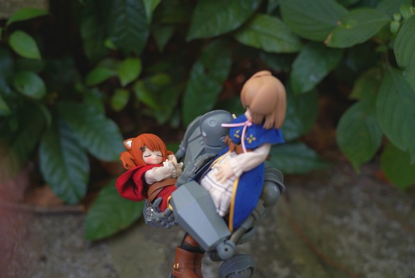 耳朵花园博物志 华芙