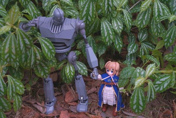 耳朵花园博物志 华芙