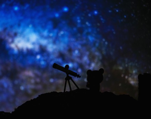 SAN-X 轻松熊 森林之家