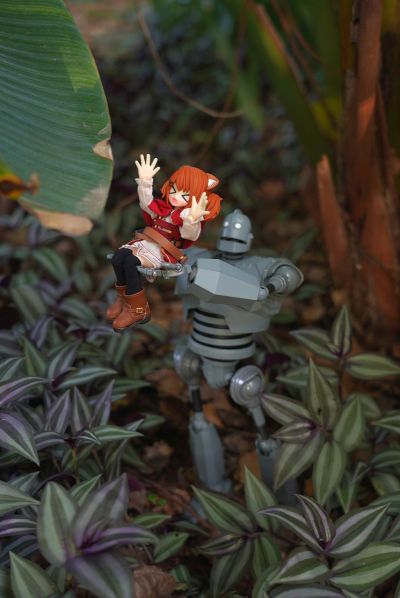 耳朵花园博物志 华芙