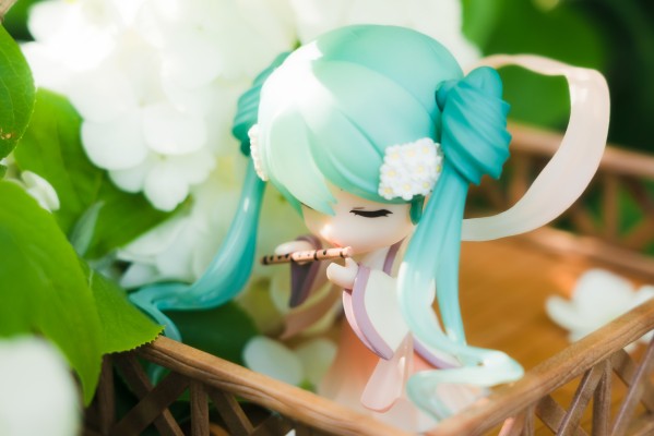 木绣球和中秋音