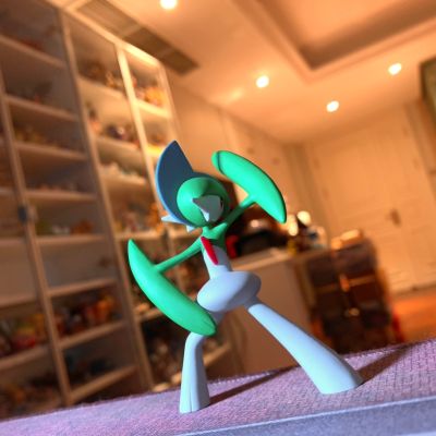 宝可梦比例世界 丰缘地区 满充+艾路雷朵