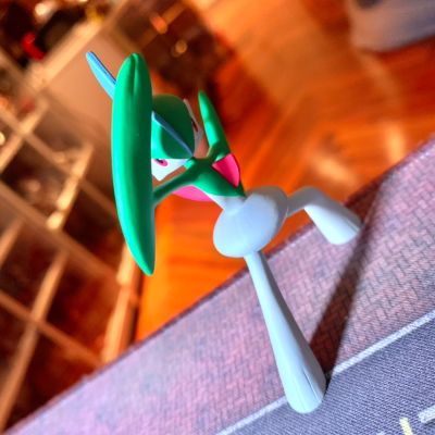 宝可梦比例世界 丰缘地区 满充+艾路雷朵