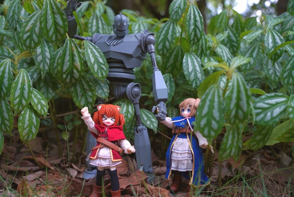 耳朵花园博物志 华芙