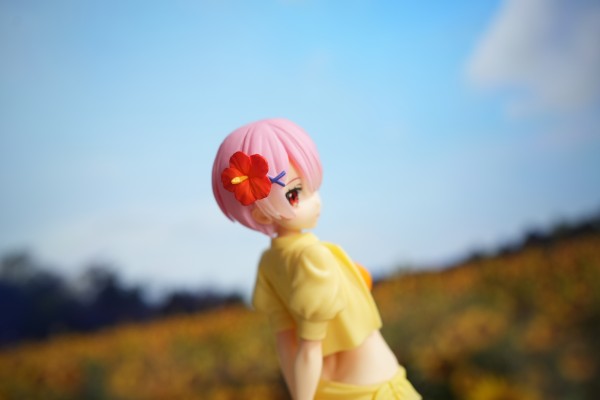 SSS Re:从零开始的异世界生活 第二季 拉姆  -夏日纪行-