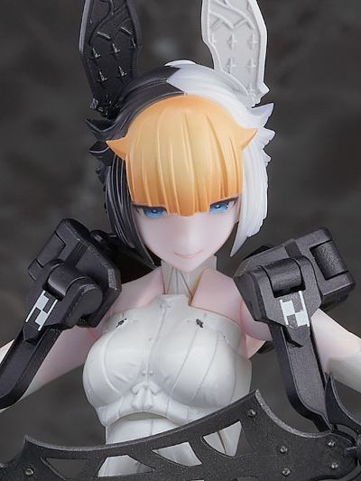 chitocerium ornatio .face 0.2.2.9.0 α/β/γ