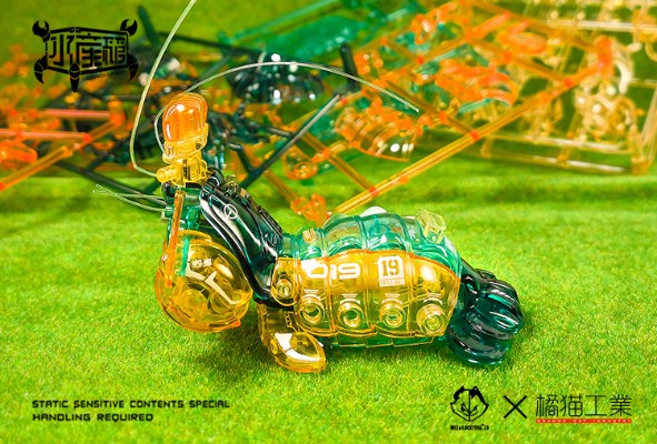 水产箱系列 螳螂虾 生机绿