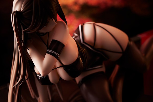 碧蓝航线 瑞鹤 飙速之鹤