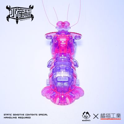 水产箱系列 螳螂虾 幽幽粉