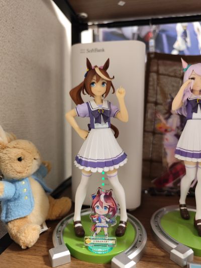 赛马娘  东海帝皇