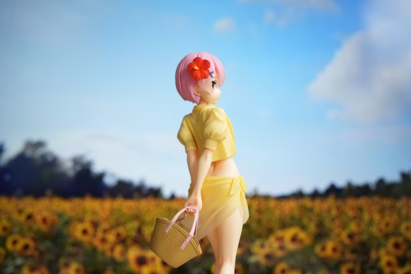 SSS Re:从零开始的异世界生活 第二季 拉姆  -夏日纪行-