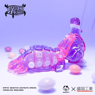 水产箱系列 螳螂虾 幽幽粉