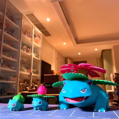 宝可梦比例世界 关都地区 妙蛙花