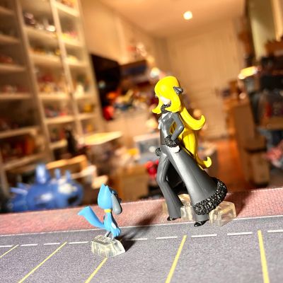 宝可梦比例世界 神奥地区 竹兰 与 烈咬陆鲨