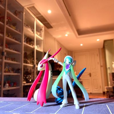 宝可梦比例世界 丰原地区 米可利+美纳斯