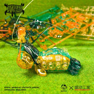 水产箱系列 螳螂虾 生机绿