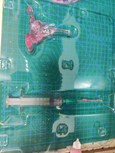 注入！樱子小姐