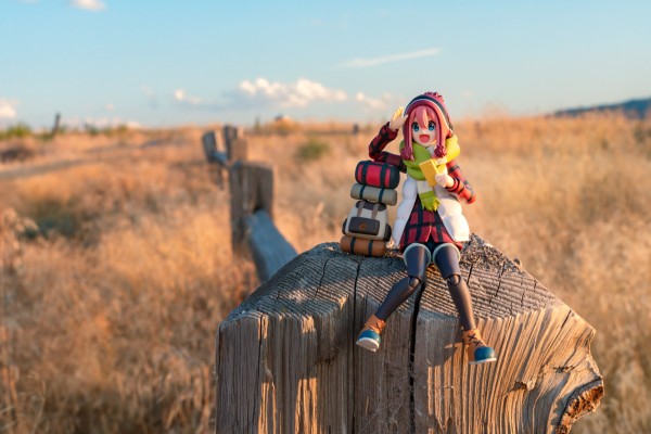 figma#550 摇曳露营△ 志摩凛