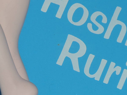 機動戦艦ナデシコ 星野ルリ 泳装Ver. 