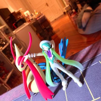 宝可梦比例世界 丰原地区 米可利+美纳斯