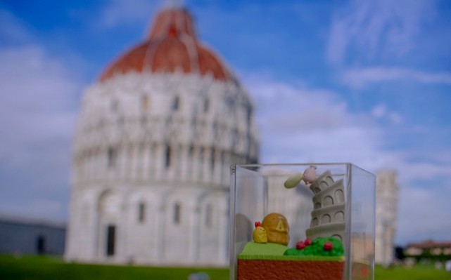 角落小伙伴 在房间角落享受旅行