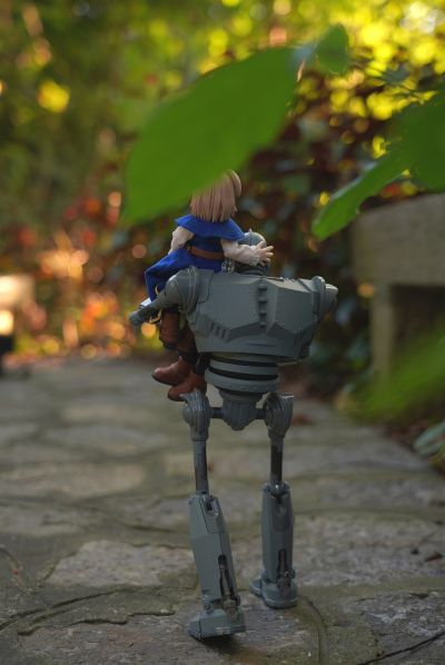 耳朵花园博物志 华芙