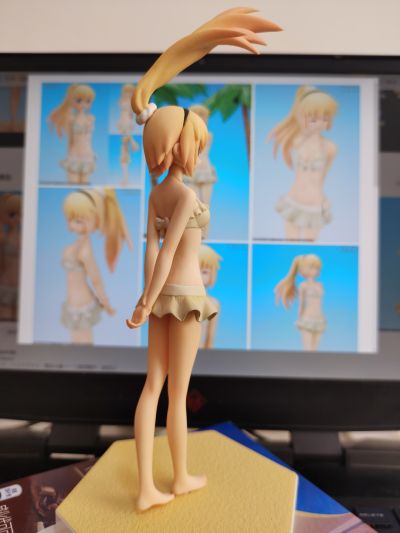 BEACH QUEENS 武装神姫 アン