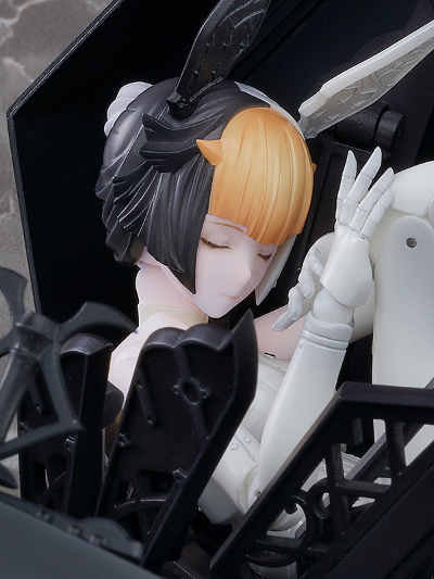 chitocerium ornatio .face 0.2.2.9.0 α/β/γ