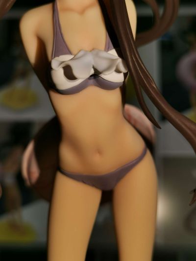 Beach Queens Premium 魔法少女大战 小张凛 泳装ver.