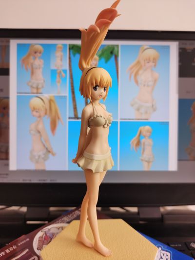 BEACH QUEENS 武装神姫 アン