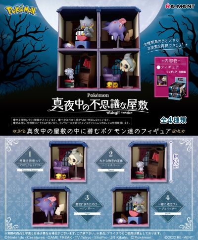 精灵宝可梦 深夜里的神奇小屋