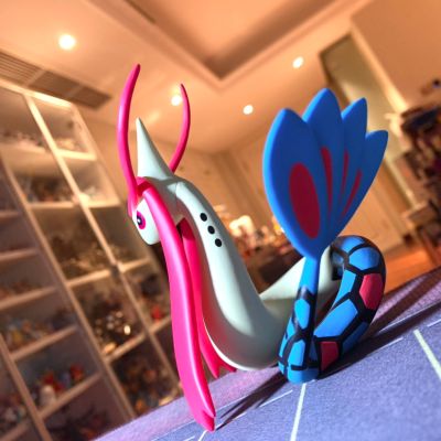 宝可梦比例世界 丰原地区 米可利+美纳斯