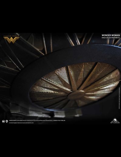 DC系列 神奇女侠 盾牌 道具复制品 金属版