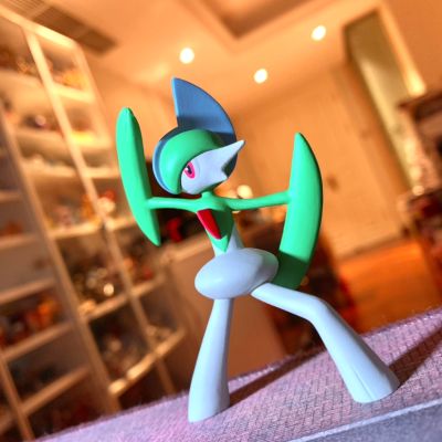 宝可梦比例世界 丰缘地区 满充+艾路雷朵