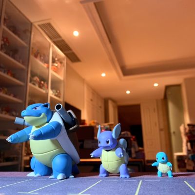 宝可梦比例世界 关都地区 水箭龟