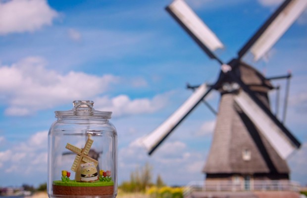 角落小伙伴 在房间角落享受旅行