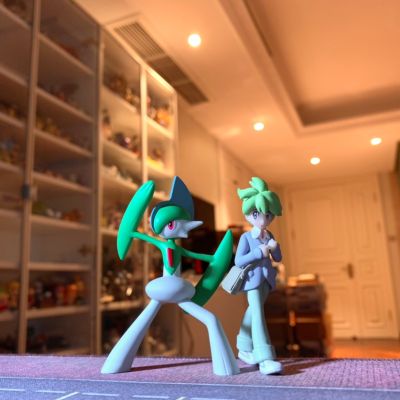 宝可梦比例世界 丰缘地区 满充+艾路雷朵