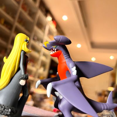 宝可梦比例世界 神奥地区 竹兰 与 烈咬陆鲨