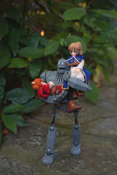 耳朵花园博物志 华芙