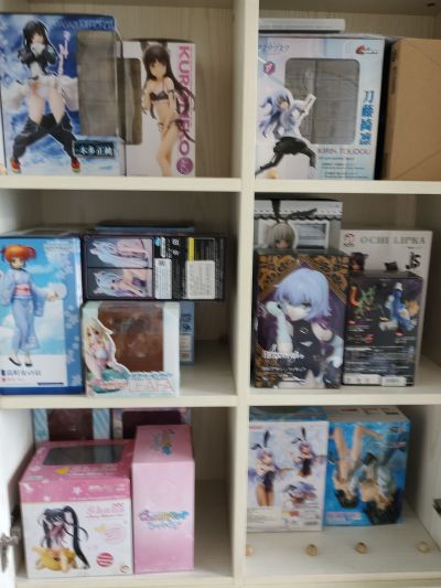 噬血狂袭 姬柊雪菜