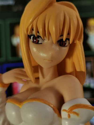 Melty Blood アルクェイド・ブリュンスタッド Extra Figure #4 