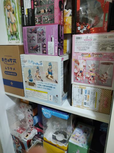 噬血狂袭 姬柊雪菜