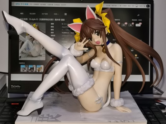 B-style IS〈无限斯特拉托斯〉凰铃音 猫版