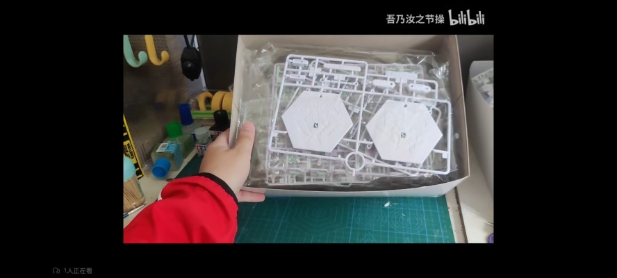 Chitocerium nightmare XCIX-albere 与 C-efer